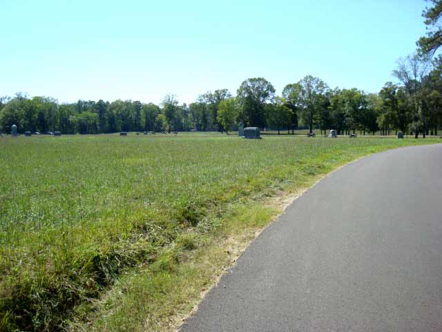 Viniard across West Field