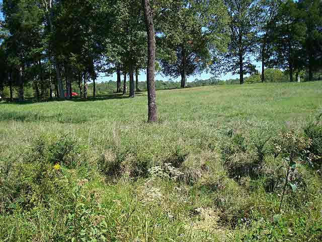 Viniard across West Field